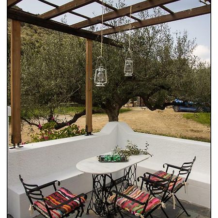 Liodentro House Villa Karpathos Town  Exterior photo