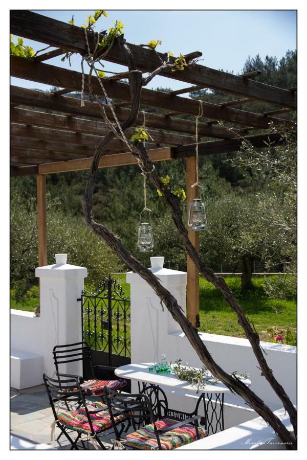 Liodentro House Villa Karpathos Town  Exterior photo