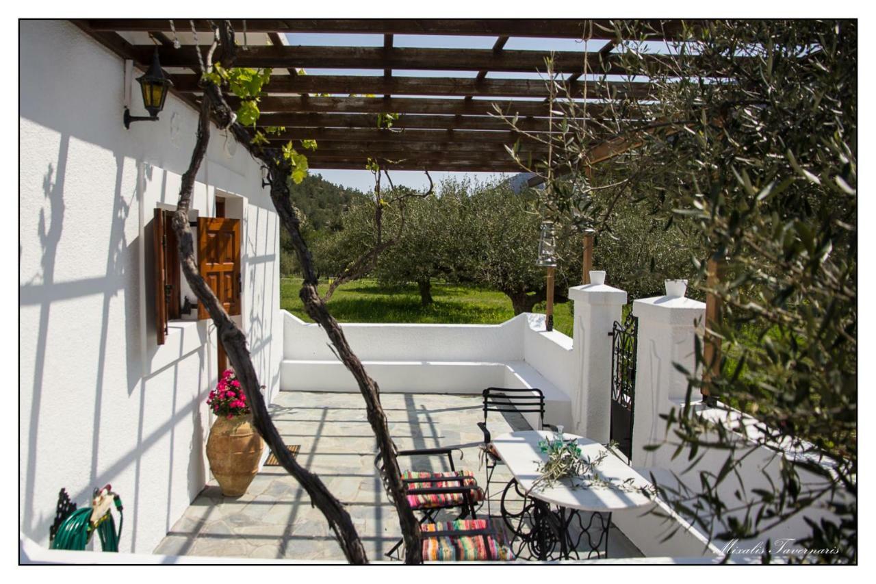 Liodentro House Villa Karpathos Town  Exterior photo