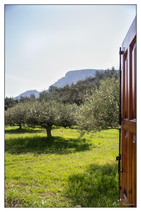 Liodentro House Villa Karpathos Town  Exterior photo